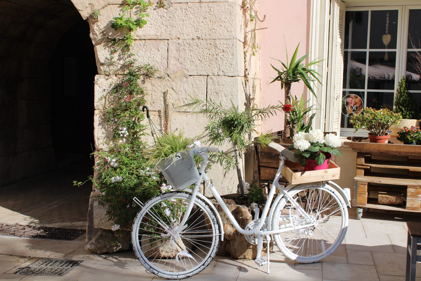 Les Sens des Fleurs : Un Écrin de Nature et de Poésie