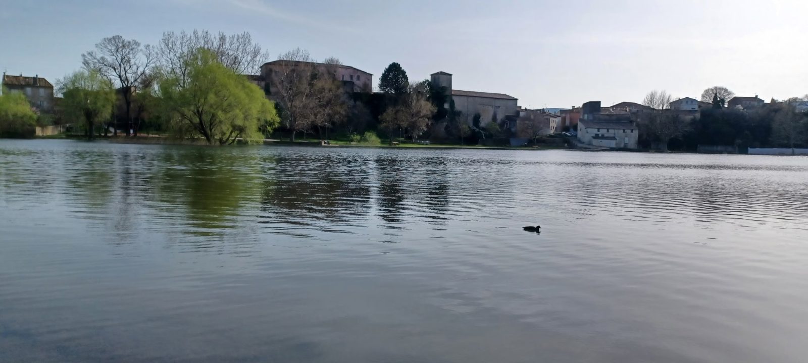 Concours de pêche adultes 6 Juin 2026